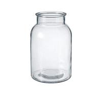 OASIS Modern Clear Glass Wide Flower Jar - Twig Stem Bouquet Display Vase (16 x 24cm)