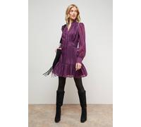 Oasis Organza Lace Trim Shirt Mini Dress In Plum plum 18