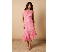 Oasis Petite Floral Lace Scallop Detail Midi Dress In Coral coral 12