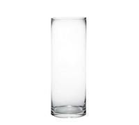 OASIS Tall glass cylinder vase 40cm x 15cm