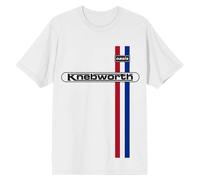 (XXL, White) Oasis Knebworth Vertical Stripe T Shirt
