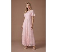 Oasis Women's Angel Sleeve Lace Bridesmaid Dress in Blush | Size: 12