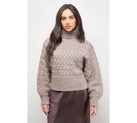 Oasis Women's Chunky Cable Knit Roll Neck Jumper in Mocha | Size: Large