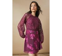 Oasis Women's Occasion Floral Lace Bodice Mini Dress in Berry | Size: 10 Oasis Berry 10