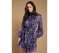 Oasis Women's Organza Shirred Waist Mini Dress in Plum | Size: 12