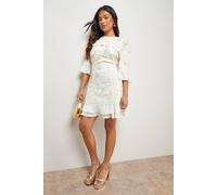 Oasis Women's Petite Chiffon Ruffle Lace Panel Mini Dress in Champagne | Size: 14