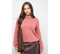 Oasis Women's Stitch Detail Sleeve Ruffle Neck Jumper in Desert Rose | Size: Medium
