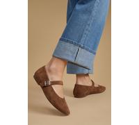 Oasis Women's Tara Faux Suede Square Toe Ballet Pumps Flat in Tan | Size: 4