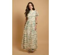Oasis Women's Trailing Bloom Tiered Mesh Maxi Dress | Size: 14