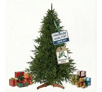 OasisCraft Artificial Christmas Tree [100% PE] - Lifelike Christmas Tree with Sturdy Top | North Spruce Including FSC Certified Wooden Stand & Tear-Resistant Bag (without Lighting, 150 cm)