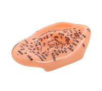 OATIPHO Human Ear Acupuncture Model Acupoint Learning Display for Ear Massage for Health Benefits Improved Sleep Traditional Chinese Medicine