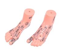 OATIPHO Realistic Foot Model for Teaching and Massage Foot Bath Reflexology Tool for Students Schools and Training Institutions