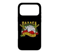 Oaxaca México Souvenir Mexican Vacation Case for iPhone 17 Pro Max