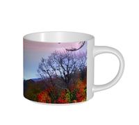 OAZCVBNN Blue Ridge Mountains Print Large Capacity Ceramic Mugs Adults Coffee Beverage Home Office Camping Gift Sets