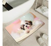 OBASDFD Highland Cattle Diatomaceous Earth Bath Mat, Non-Slip Absorbent Fast Drying Rug For Bathroom & Kitchen(#19,20x31Inch (50 * 80cm))