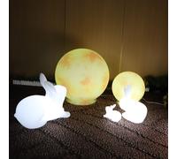 Obasyhig 20CM Moonlight Ornamental Garden Decoration Mood Lighting in White Obasyhig White