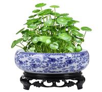 Obelunrp Bowl Planter 6-7" Chinese Flower Pattern Ceramic Hydroponic Planter with Plastic Base Exquisite & Rustic Plant Pot for Lotus, Water Lily, Succulent, Hydroponic, Bowl