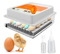 OBI-36 Egg Incubator for Hatching - 36 Eggs - Stable Temperature & Humidity Control with Eggloo Insulation, Candler - Ideal for Families and Farms - Suitable for Chicken, Duck, Quail Eggs - Orange