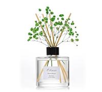 Obisesio Reed Diffuser Set,6.8oz Fresh Bamboo Scent Diffuser With 4 Reeds,Home Essential Oil Fragrance,Suitable For Bedrooms,Bathrooms And Living Rooms,Festive Gift For Family And Friends