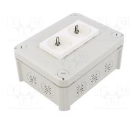 OBO BETTERMANN T-100-2MSD-WS Enclosure