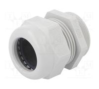 OBO BETTERMANN V-TEC-PG36-LGR Cable gland