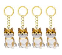 Obotsnoi 2/3/4/5/10Pcs Clear Pet Hair Storage Keychain With Compartment For Dog Cats Keepsakes Pet Furs Collection Pendants Charm Cute Dog Hair Keepsakes Box