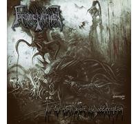 Obsecration - The Last Vision Before The Obliteration