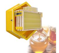 Observation Bee Hive Starter Kit, Wall Mounted with Acrylic Viewing Window, Hexagon Design, Includes Hive Frame Stoppers for Bee Farm