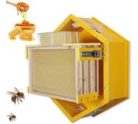 Observation Beehive Starter Kit, Wall-Mounted Hexagon Hive with Acrylic Viewing Window, 3 Frames & 6 Honeycomb Trays for Indoor Garden Educational Beekeeping