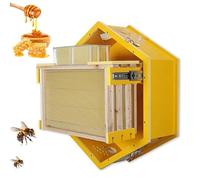 Observation Beehive Starter Kit, Wall-Mounted Hexagon Hive with Acrylic Window, 3 Frames & 6 Trays, for Indoor Garden Educational Beekeeping