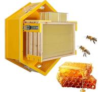 Observation Beehive Starter Kit with 3 Frames, 6 Honeycomb Trays & Acrylic Window, Indoor Wall-Mounted Bee Hive for Beekeeping Enthusiasts & Bee Farm