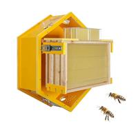 Observation Beehive Starter Kit with Acrylic Viewing Window, Wall-Mounted Hexagon Bee Hive, Complete with 3 Frames & 6 Honeycomb Trays for Indoor & Garden Beekeeping