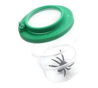 Observation Holder Compact Clear Sectioned Critter, Green | Clear Triple Section Critter Holder for Family Learning Nature Observation, Portable Nature Study Viewer