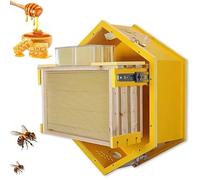 Observation Window Bee Hive Box, Complete Wall Mounted Starter Set with 3 Frames & 6 Comb Boxes for Indoor, Garden, Educational Beekeeping