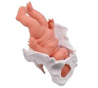 Obstetrics and Gynaecology Newborn Care Model Pelvic Model with Baby Childbirth Demonstration Pelvis Model Midwifery Teaching Model for Postpartum Recovery