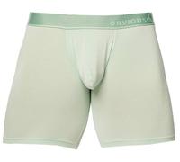 Obviously Mens PrimeMan Boxer Brief 6inch Leg - Mint Green