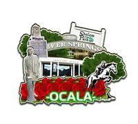 Ocala Florida USA Magnet Fridge Magnet Wooden 3D Landmarks Travel Collectible Souvenirs Decoration Handmade-2