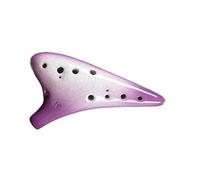 ocarina instrument Blue Gradient Ocarina 12 Hole Alto C Key AC Beginner Teaching Ocarina Of Time National Musical Instrument Gifts (Color : Purple)