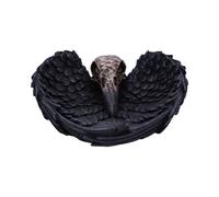 Nemesis Now Edgar Allen Poe's Nevermore Raven Skull Trinket Holder Jewellery Dish, Black, 17 cm