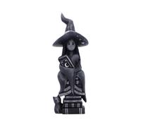 Occult and Witchcraft Little Souls Shine Figurine 13.5cm | Figurines | Acotis