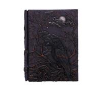 Occult and Witchcraft Raven's Grimoire Journal 19cm | Journals & Notebooks
