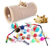 Occupiedpet Cat Toys 21PCS Set, Interactive Play Collection with Suede Tunnel and Colorful Teaser Wand, Assorted Balls and Feather Toys for Indoor Cats