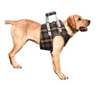 Occupiedpet Dog Lift Harness, Adjustable Rear Leg Support Sling with Breathable Polyester, Mobility Aid for Disabled and Senior Dogs (XL (30-40 kg / 66,1-88,2 lb recomendado))