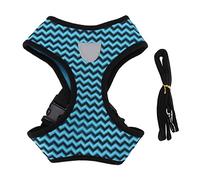 Occupiedpet Pet Harness with Leash, Adjustable Reflective Mesh Vest for Small Medium Dogs and Cats, Breathable Polyester I Shape Vest for Secure Control and Walking (XL)