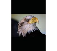 Ocean Adventure Notebook: Explore Dolphins, Whales & Sea Life: Wide-Ruled Journal for Kids, Students, Ocean Lovers & Daily Notes