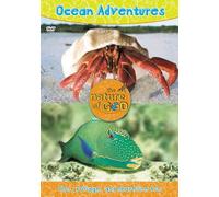 Ocean Adventures: Fins, Foliage, and Shoreline Fun [DVD]