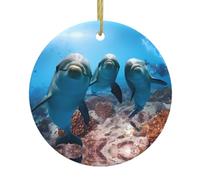 Ocean Animal Funny Dolphin Print Christmas Tree Ceramic Hanging Decorative Ornaments – Round Keepsake for Xmas, Home Party, Holiday