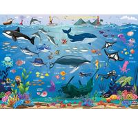 Ocean Animals