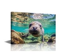 Ocean Animals Canvas Wall Art Close up of a Seal in the Water Posters Prints Artwork 1 Panel Contemporary Home Decor Stretched Canvas Picture for Living Room Bedroom Home Office Decor 24x16 in