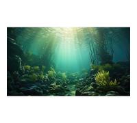 Ocean Aquarium Background Underwater Kelp Forests Fish Tank Background Under The Sea Aquatic Plants Sunrays Reptile Fish Tank Backgrounds Ocean Bed Rock Seagrass Aquarium Backgrounds 48x20in